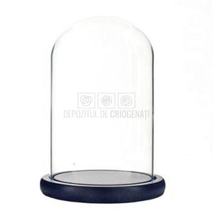 Cupola sticla 15x25cm (blat lemn negru)