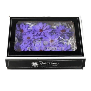 Dalia Criogenata DALIA VIO-01 Ø8cm, set 8 buc/cutie - DepozituldeCriogenati.ro