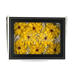 Dalia Criogenata DALIA YEL-02 Ø8cm, set 8 buc/cutie - DepozituldeCriogenati.ro