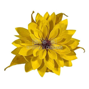 Dalia Criogenata DALIA YEL-02 Ø8cm, set 8 buc/cutie - DepozituldeCriogenati.ro