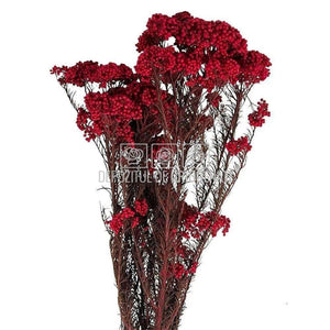 Floare de orez rosie (Buchet Criogenat)