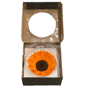 Floarea Soarelui Criogenata SUNFLOWER ORA-02 Ø10,5cm, 1 buc/cutie - DepozituldeCriogenati.ro