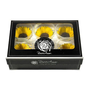 Floarea Soarelui Criogenata XL SUNFLOWER YEL-02 (Ø6cm, set 6 buc) - DepozituldeCriogenati.ro