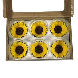 Floarea Soarelui Criogenata XL SUNFLOWER YEL-02 (Ø6cm, set 6 buc) - DepozituldeCriogenati.ro