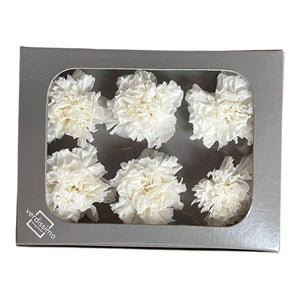 Garoafa Criogenata Alba (Ø5,5cm, H6-7cm), set 6 buc/cutie-Depozitul de Criogenati