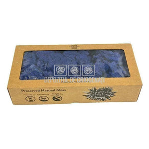 Licheni Decorativi Stabilizati cutie 500gr - Albastru (Verdissimo)