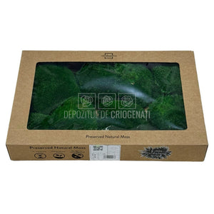 Muschi Stabilizat Bombat Verde inchis (cutie 180gr) - DepozituldeCriogenati.ro