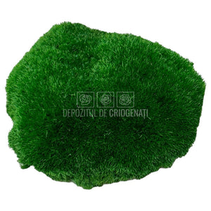 Muschi Stabilizat Bombat Verde inchis (cutie 180gr) - DepozituldeCriogenati.ro