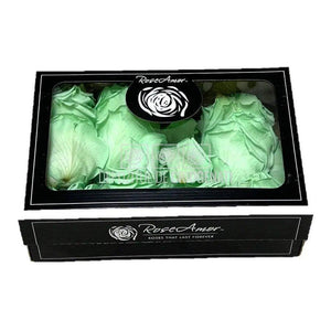 Petale de Trandafiri Criogenati PETALS GRE-04 (cutie) - DepozituldeCriogenati.ro