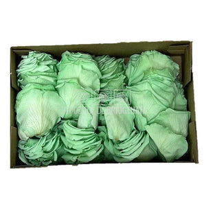 Petale de Trandafiri Criogenati PETALS GRE-04 (cutie) - DepozituldeCriogenati.ro