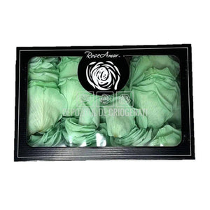 Petale de Trandafiri Criogenati PETALS GRE-04 (cutie) - DepozituldeCriogenati.ro