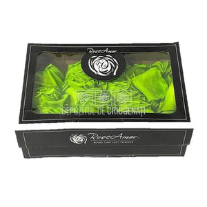 Petale de Trandafiri Criogenati PETALS GRE-05 (cutie) - DepozituldeCriogenati.ro