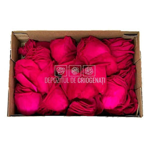 Petale de Trandafiri Criogenati PETALS PIN-03 (cutie) - DepozituldeCriogenati.ro