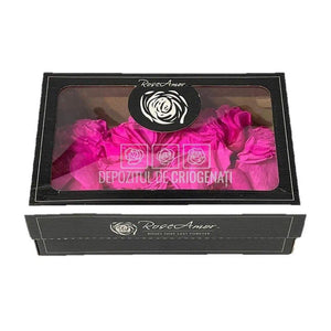 Petale de Trandafiri Criogenati PETALS PIN-07 (cutie) - DepozituldeCriogenati.ro