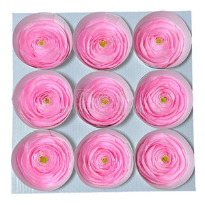 Ranunculus Criogenat PIN-99 (Ø6cm, set 9 buc /cutie) - DepozituldeCriogenati.ro
