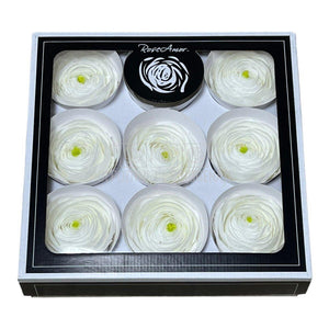 Ranunculus Criogenat WHI-01 (Ø6cm, set 9 buc /cutie) - DepozituldeCriogenati.ro