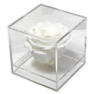 Trandafir Criogenat Alb (Ø6cm) in Cutie Cadou (9x9x9cm) - DepozituldeCriogenati.ro