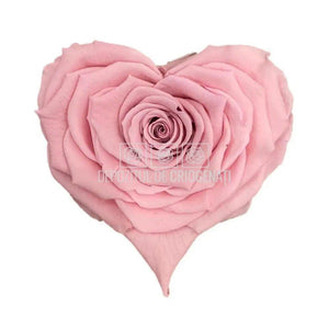 Trandafir Criogenat BELLA CORAZON PIN-04 (Ø7-8cm, 4 buc /cutie) - DepozituldeCriogenati.ro