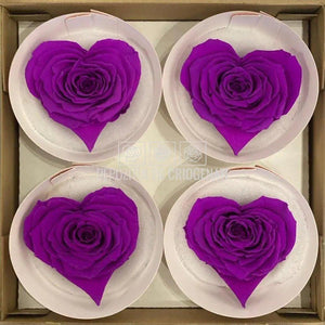 Trandafir Criogenat BELLA CORAZON PUR-02 (Ø7-8cm, 4 buc /cutie) - DepozituldeCriogenati.ro
