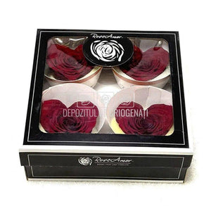 Trandafir Criogenat BELLA CORAZON RED-01 (Ø7-8cm, 4 buc /cutie) - DepozituldeCriogenati.ro