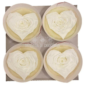 Trandafir Criogenat BELLA CORAZON WHI-01 (Ø7-8cm, 4 buc /cutie) - DepozituldeCriogenati.ro