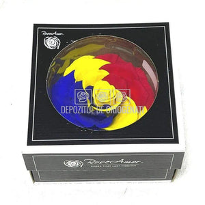 Trandafir Criogenat BONITA FLAG ROMANIA (Ø9,5cm, 1 buc) - DepozituldeCriogenati.ro