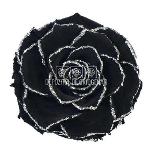 Trandafir Criogenat BONITA GLITTER SILVER BLA-01 (Ø9,5cm, 1 buc) - DepozituldeCriogenati.ro