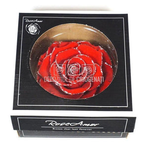 Trandafir Criogenat BONITA GLITTER SILVER RED-02 (Ø9,5cm, 1 buc) - DepozituldeCriogenati.ro