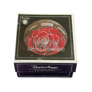 Trandafir Criogenat BONITA GLITTER SILVER RED-02 (Ø9,5cm, 1 buc) - DepozituldeCriogenati.ro