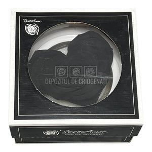 Trandafir Criogenat CORAZON BLA-01 (Ø9cm, 1 buc /cutie) - DepozituldeCriogenati.ro