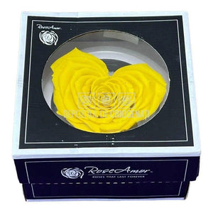 Trandafir Criogenat CORAZON YEL-02 (Ø9cm, 1 buc /cutie) - DepozituldeCriogenati.ro