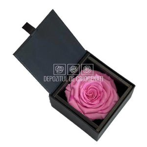 Trandafir Criogenat Roz (Ø6,5-7cm) in Cutie Cadou (8,5x8,5x6cm) - DepozituldeCriogenati.ro