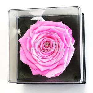 Trandafir Criogenat Roz (dia. 7-8cm) in Cutie Transparenta 10x10x11cm