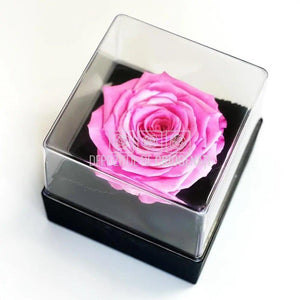 Trandafir Criogenat Roz (dia. 7-8cm) in Cutie Transparenta 10x10x11cm