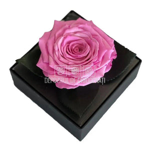 Trandafir Criogenat Roz (dia. 7-8cm) in Cutie Transparenta 10x10x11cm