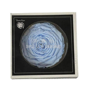 Trandafir Criogenat XXL BLU-89 (Ø9,5cm, 1 buc /cutie) - DepozituldeCriogenati.ro