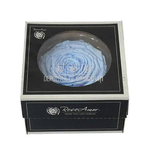 Trandafir Criogenat XXL BLU-89 (Ø9,5cm, 1 buc /cutie) - DepozituldeCriogenati.ro