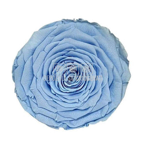 Trandafir Criogenat XXL BLU-89 (Ø9,5cm, 1 buc /cutie) - DepozituldeCriogenati.ro