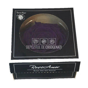 Trandafir Criogenat XXL PUR-01 (Ø9,5cm, 1 buc /cutie) - DepozituldeCriogenati.ro