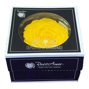 Trandafir Criogenat XXL YEL-02 (Ø9,5cm, 1 buc /cutie) - DepozituldeCriogenati.ro