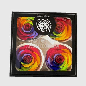 Trandafiri BELLA RAINBOW RED-02 (Ø7,5-8cm, set 4buc) - DepozituldeCriogenati.ro