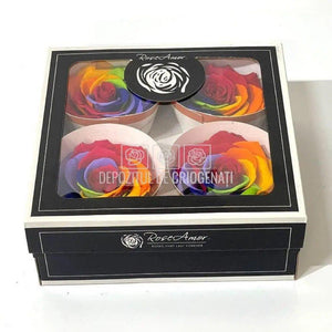 Trandafiri BELLA RAINBOW RED-02 (Ø7,5-8cm, set 4buc) - DepozituldeCriogenati.ro