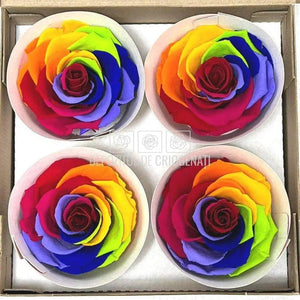 Trandafiri BELLA RAINBOW RED-02 (Ø7,5-8cm, set 4buc) - DepozituldeCriogenati.ro