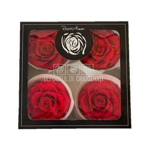 Trandafiri Criogenati BELLA ORA-03 (Ø7,5-8cm, set 4 buc /cutie) - DepozituldeCriogenati.ro