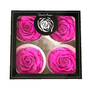 Trandafiri Criogenati BELLA PIN-07 (Ø7,5-8cm, set 4 buc /cutie) - DepozituldeCriogenati.ro