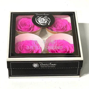 Trandafiri Criogenati BELLA PIN-07 (Ø7,5-8cm, set 4 buc /cutie) - DepozituldeCriogenati.ro