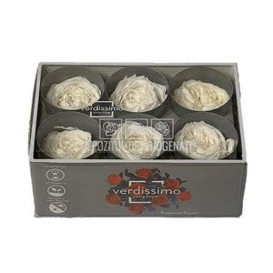 Trandafiri Criogenati GARDEN WHITE (Ø5-6cm; set 6 buc/cutie) - DepozituldeCriogenati.ro