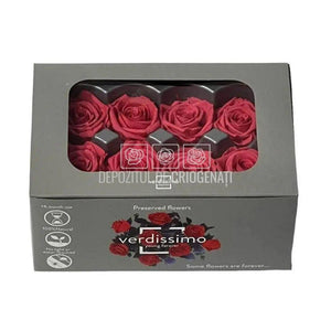 Trandafiri Criogenati MEDIU DARK PINK (Ø4,5-5cm, set 8buc) - DepozituldeCriogenati.ro