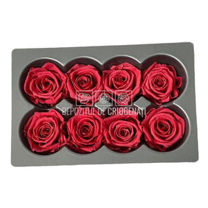 Trandafiri Criogenati MEDIU DARK PINK (Ø4,5-5cm, set 8buc) - DepozituldeCriogenati.ro