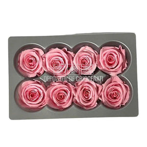 Trandafiri Criogenati MEDIU PASTEL PINK (Ø4,5-5cm, set 8buc) - DepozituldeCriogenati.ro